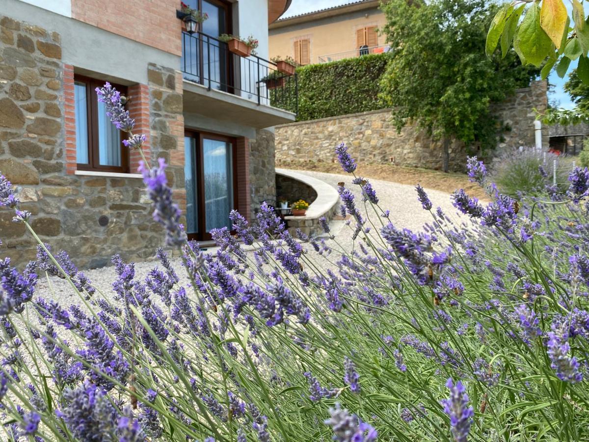 Podere Belsogno Montalcino Exterior photo